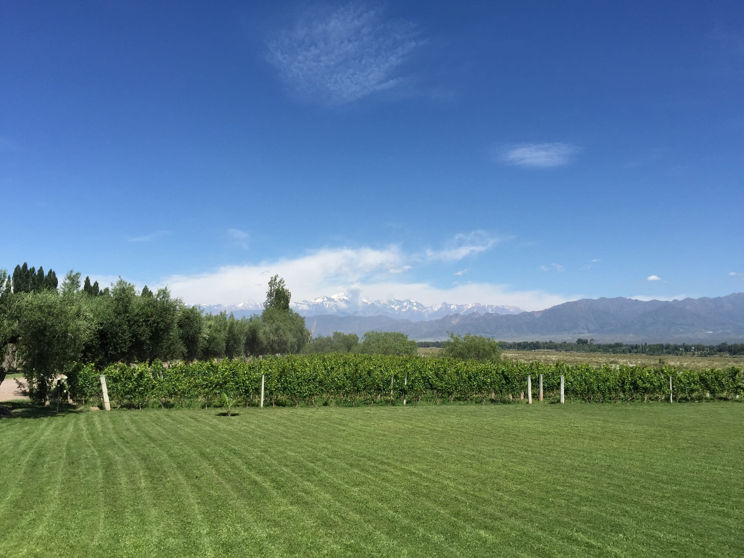 Mendoza