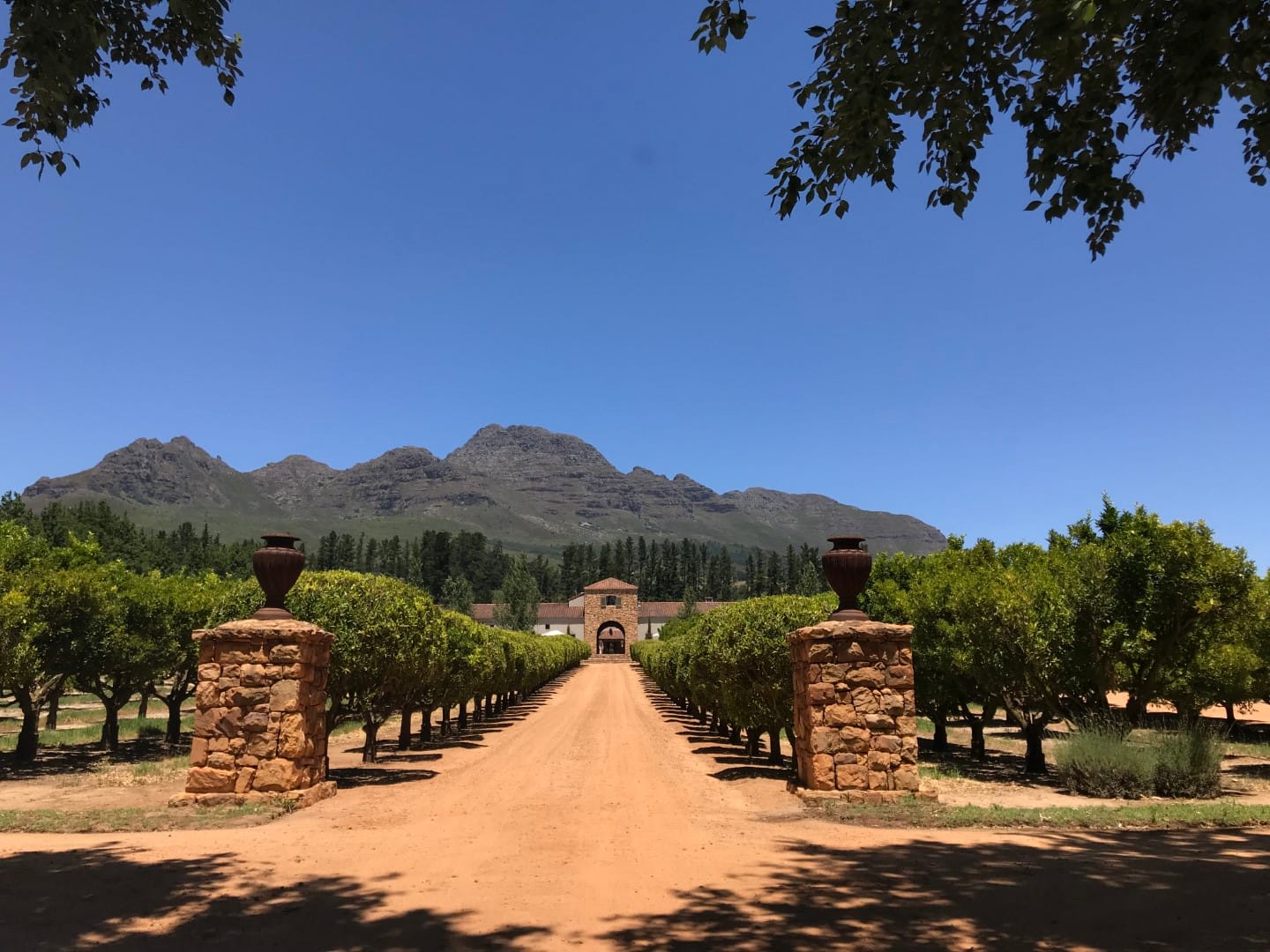 The entrance to Meerlust, Stellenbosch. Eight generations of the Myburgh family.