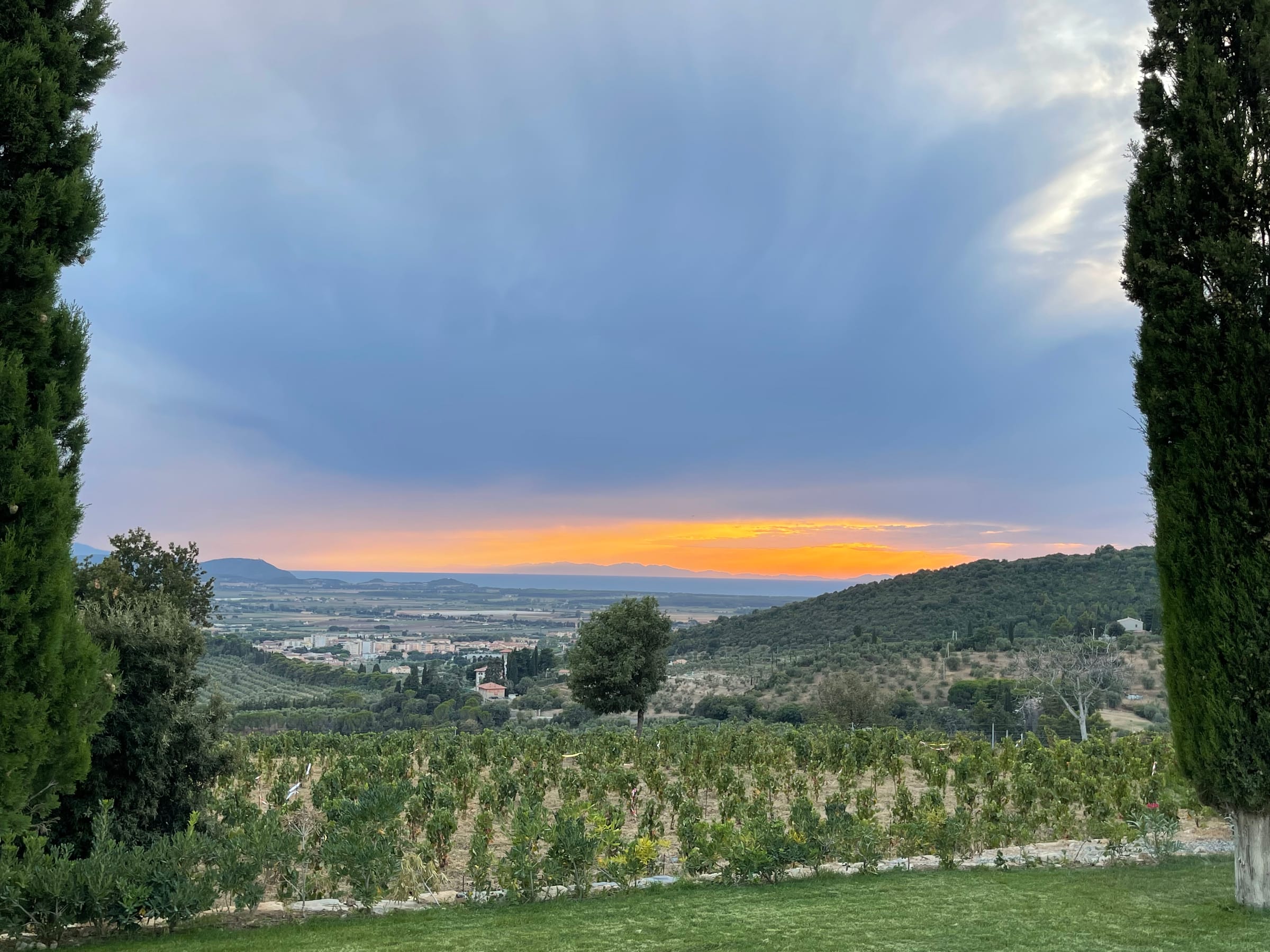Before Big Data Came to Wine, One Family in Stellenbosch Was Already Doing It